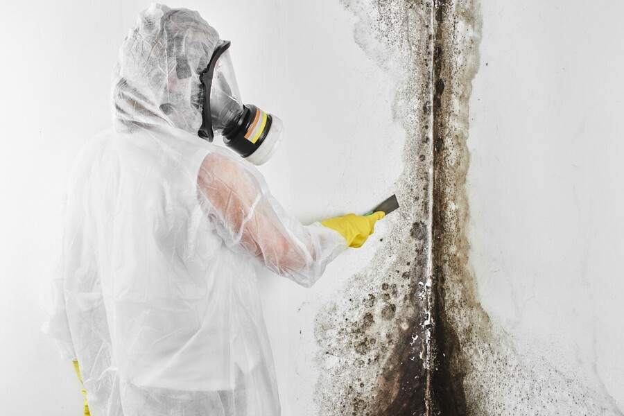 Mold Remediation by K2 Disaster Response
